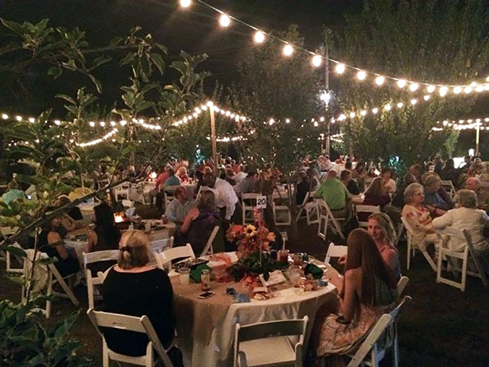 Dinner-Under-the-Stars